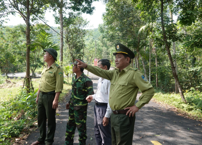 Đà Nẵng: Chủ động phòng chống cháy rừng mùa nắng nóng (23/4/2023)